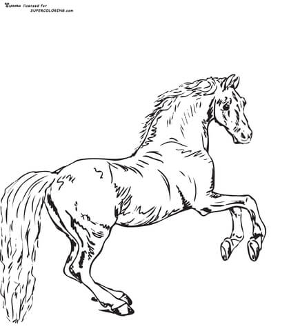 Whistlejacket By George Stubbs  Coloring Page